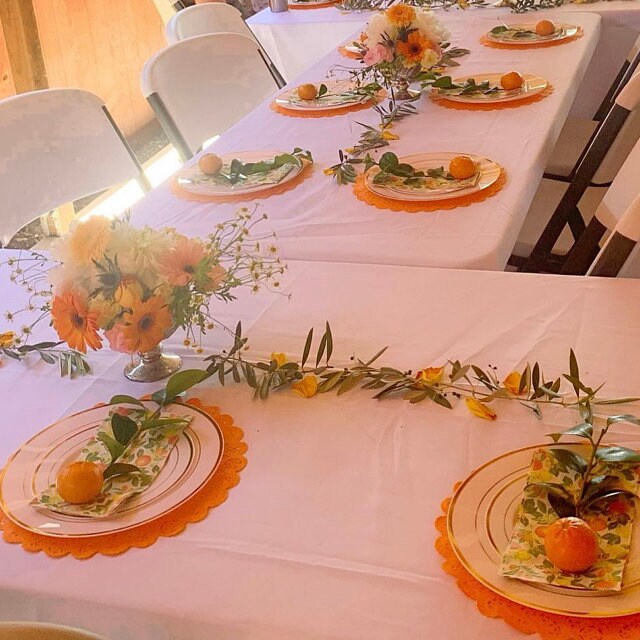 21 - 12" - LIGHT PUMPKIN ORANGE  Paper Doilies Normandy | Light Orange Paper Doilies, Orange Paper Chargers, Orange Placemats